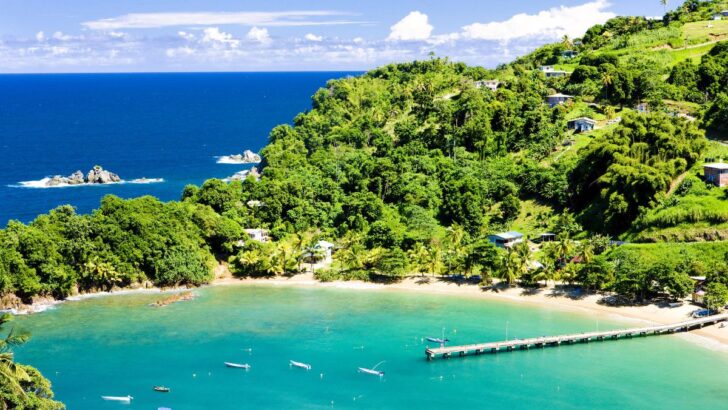 Digital Strategist Hails Trinidad & Tobago As The Next Hotspot For Digital Nomads
